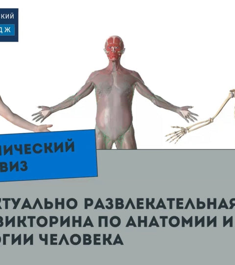 Интеллектуально-развлекательная онлайн-викторина по анатомии и физиологии человека «Анатомический квиз»