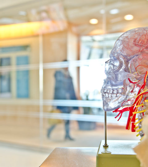 Интеллектуально-развлекательная викторина «Слабое звено»