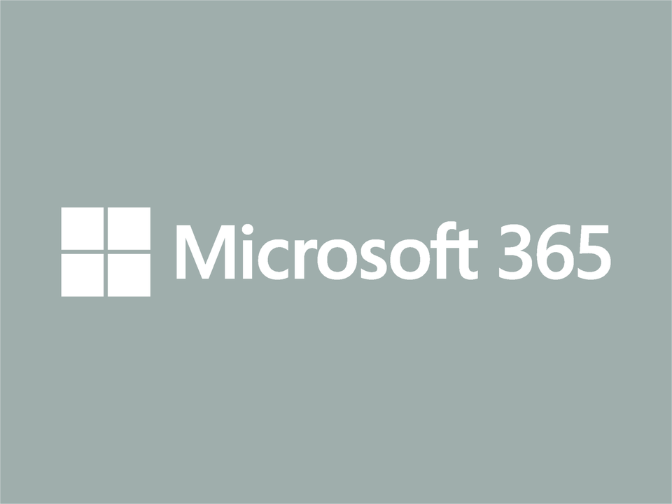 Как получить доступ к Microsoft 365?